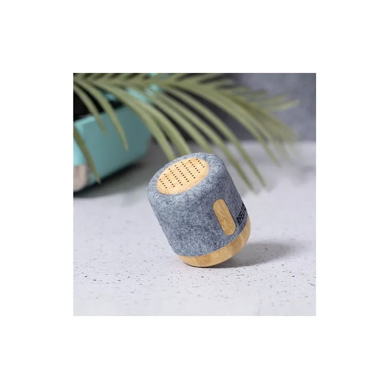 Haut-Parleur Boitok : Écologique et Performant