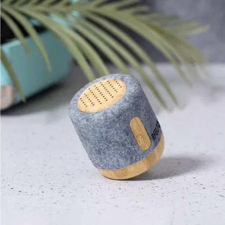 Haut-Parleur Boitok : Écologique et Performant