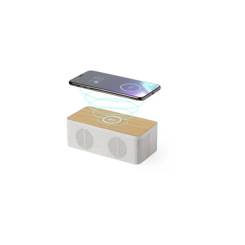 Haut-Parleurs Écologiques Pratiques avec Chargeur Trecam Matières : acier inoxydable Couleurs : vert clair