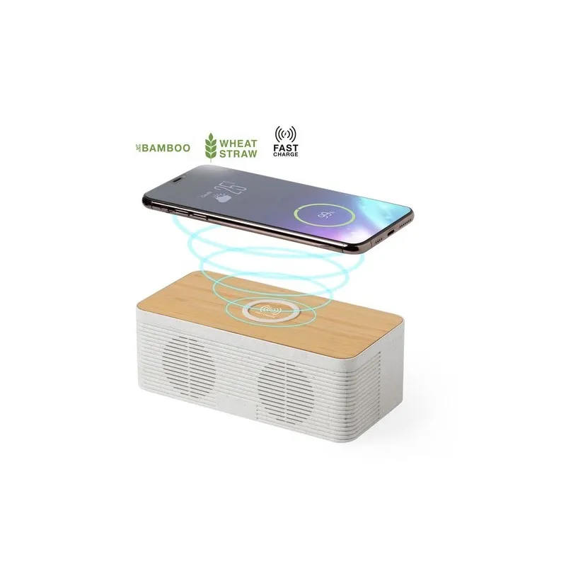 Haut-Parleurs Écologiques Pratiques avec Chargeur Trecam Matières : acier inoxydable Couleurs : vert clair personnalisable avec 