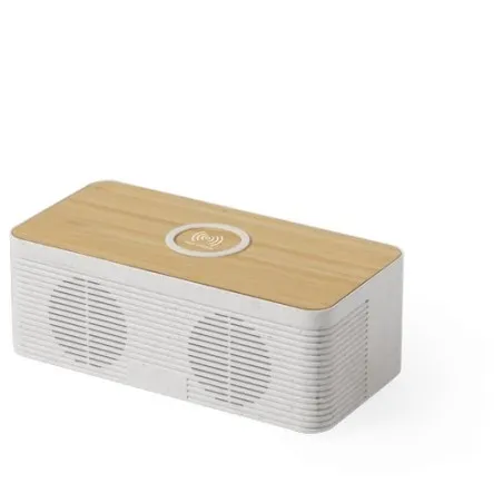 Haut-Parleurs Écologiques Pratiques avec Chargeur Trecam Matières : acier inoxydable Couleurs : vert clair objet promotionnel éc