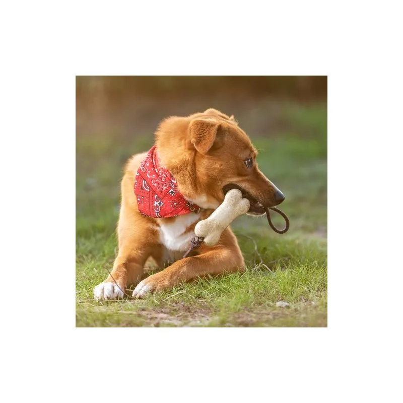 Jouet Durable pour Animaux de Compagnie Salmer