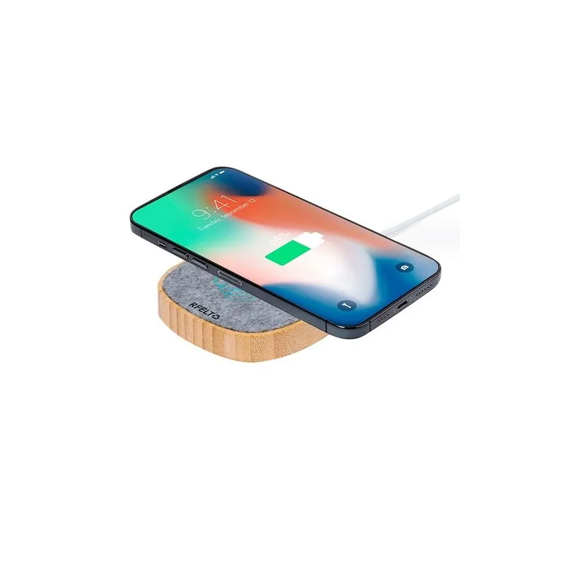 Chargeur Emerson Écologique et Pratique