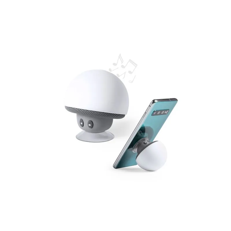 Haut-Parleur Wanap : Design et Performance