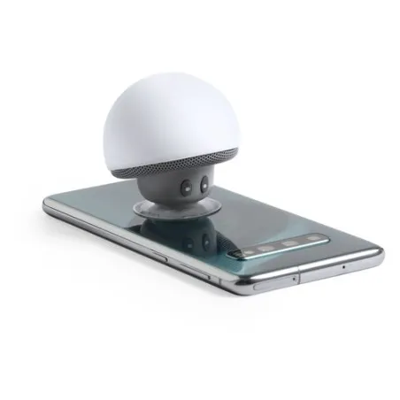 Haut-Parleur Wanap : Design et Performance