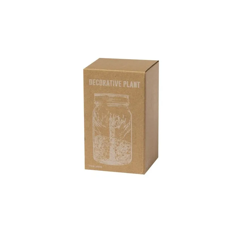 Plante Décorative Kyala - Élégance et Durabilité