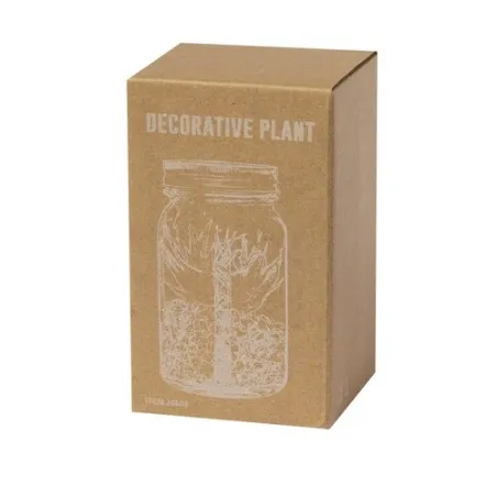 Plante Décorative Kyala - Élégance et Durabilité