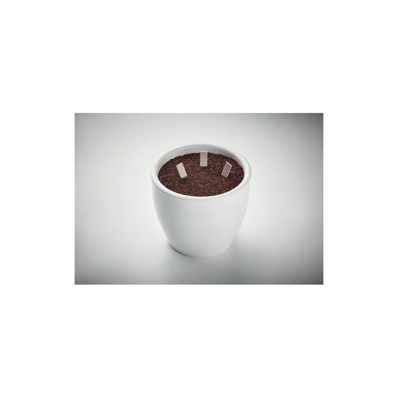 Bâtons de graines d'herbes LEYTI - Un jardin à portée de main