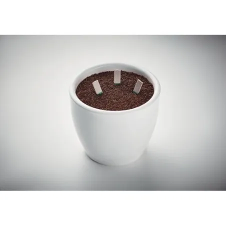 Bâtons de graines d'herbes LEYTI - Un jardin à portée de main