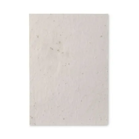 Papier A5 Graines de Fleurs ASIDE - Écologique et Unique
