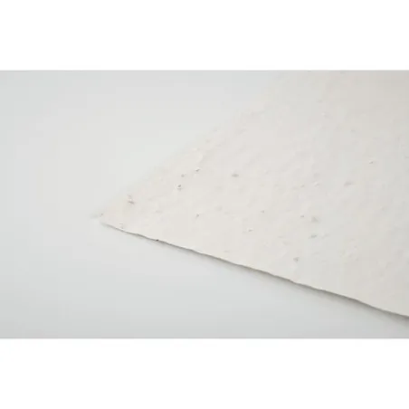 Papier A5 Graines de Fleurs ASIDE - Écologique et Unique