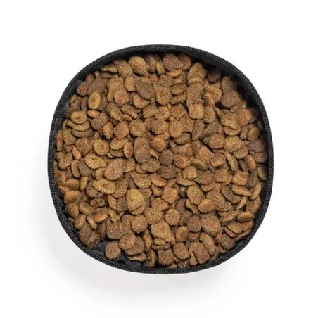 Bol Pliable Poppy : Écologique et Pratique