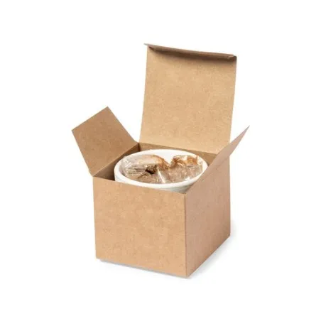 Pot de Fleurs Konte - Écologique et Pratique