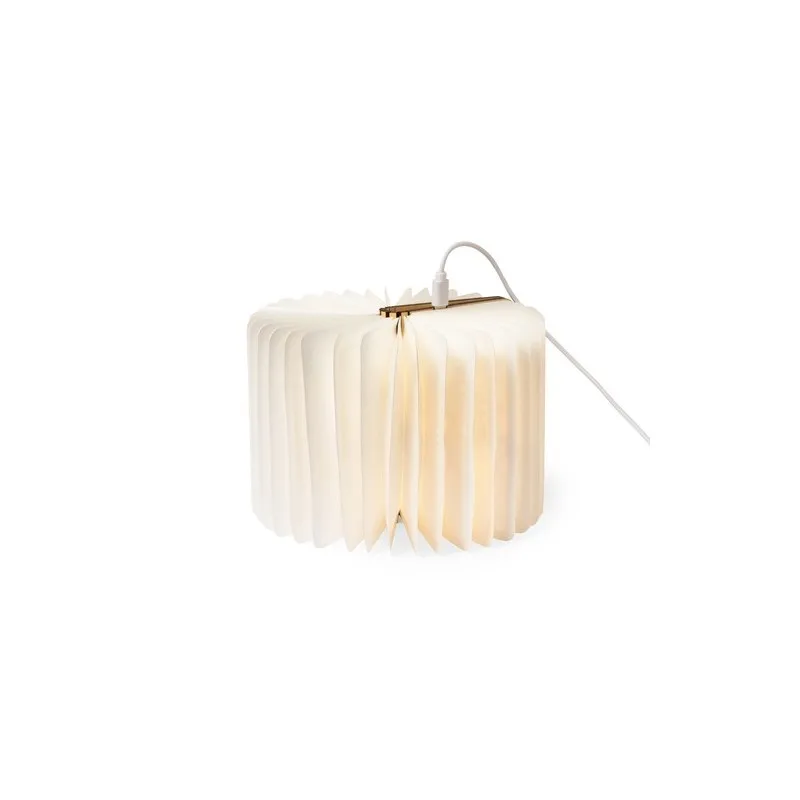 Lampe d'Ambiance Unique en Bois Personnalisée pas cher - Joneson Matières : tritan Couleurs : vert menthe goodies publicitaire é