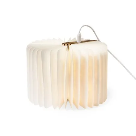 Lampe d'Ambiance Unique en Bois Personnalisée pas cher - Joneson Matières : tritan Couleurs : vert menthe goodies publicitaire é