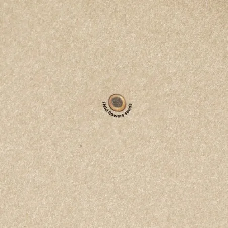 Bloc Notes Écologique Ensemencé Personnalisé - Cadeau Baupres Couleurs : noir Matières : acier inoxydable recyclé marquage laser