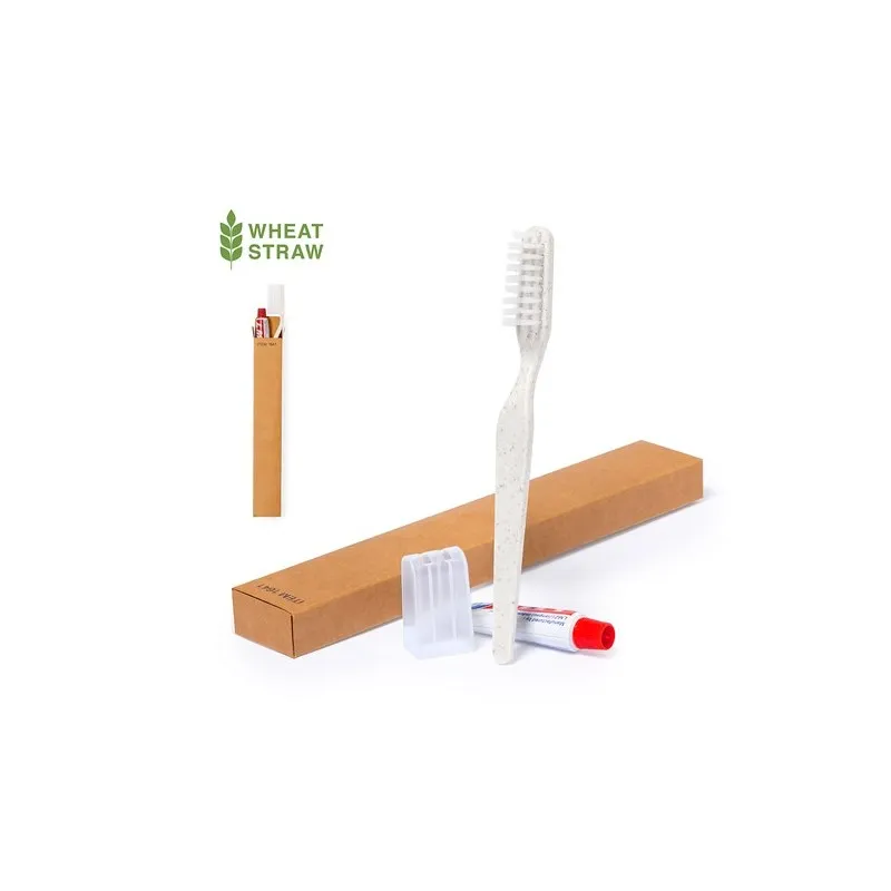 Set Dental Kit Écologique