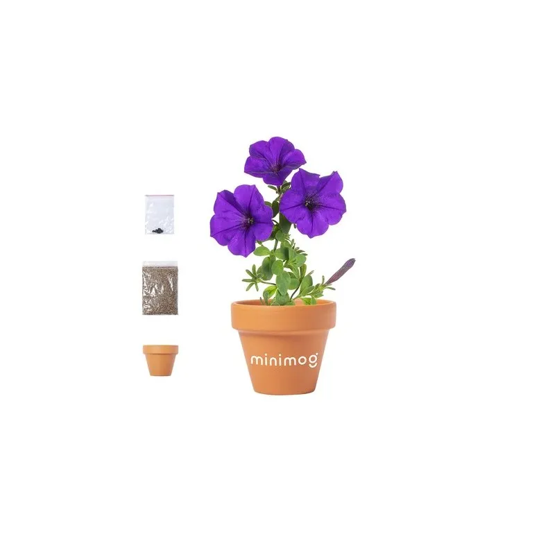 Pot de Fleurs Soltax – Éveillez votre jardin