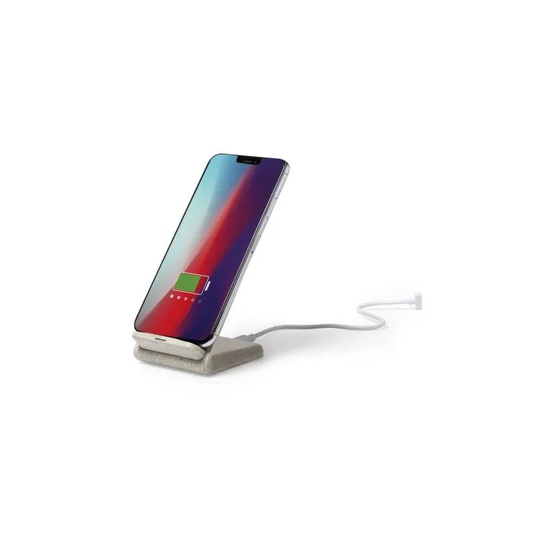 Chargeur Éco-Friendly Induction Personnalisé Pas Cher Birniax Matières : spandex Couleurs : gris marquage laser ultra précis