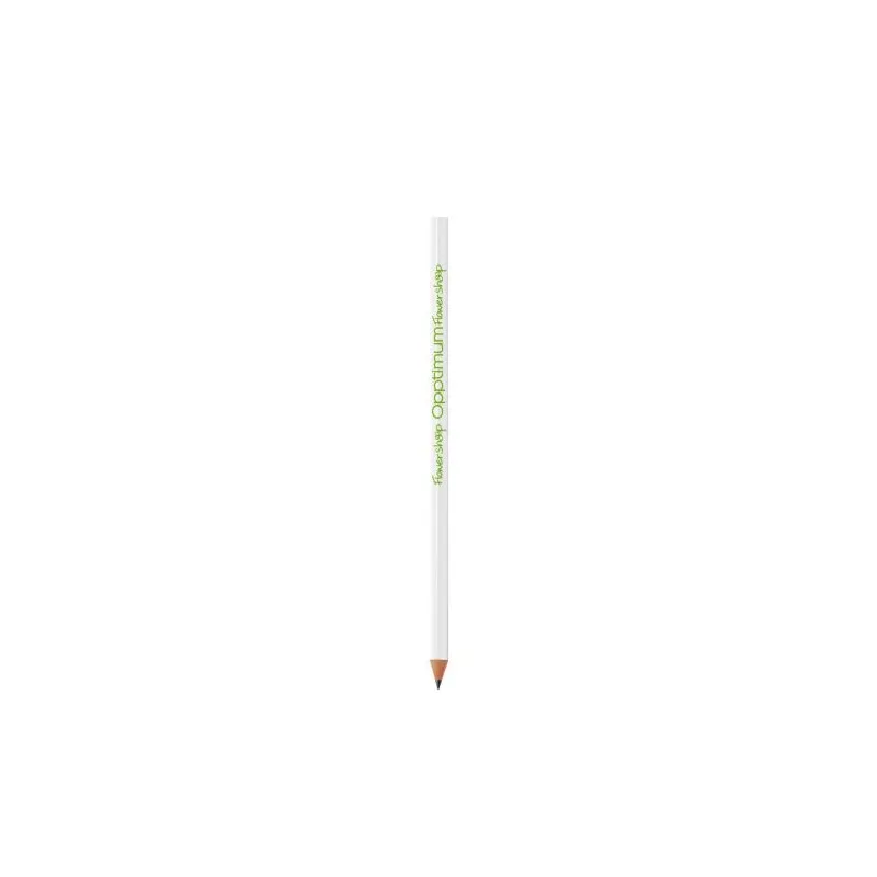 Crayon BIC® Evolution® Classic Ecolutions®