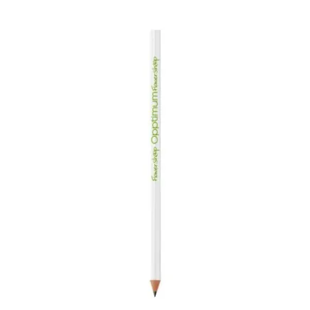 Crayon BIC® Evolution® Classic Cut Ecolutions®