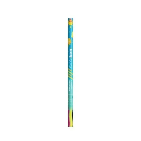 Crayon BIC® Evolution® Classic Cut Ecolutions®