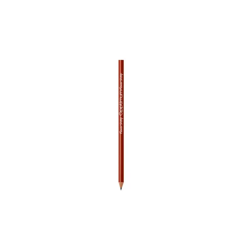 Crayon BIC® Evolution® Classic Cut Ecolutions®