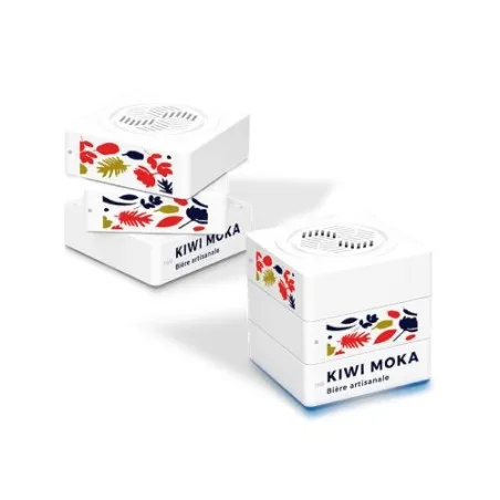 Enceinte Cube Haut-Parleur BT5.0 Sans Fil