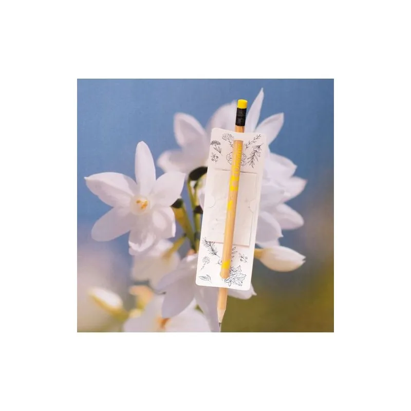 Étiquette Écologique Personnalisée pour Graines Messager Matières : PET recyclé Taille textile : L Couleurs : gris impression ha