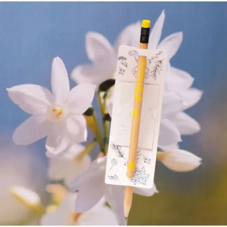 Étiquette Écologique Personnalisée pour Graines Messager Matières : PET recyclé Taille textile : L Couleurs : gris impression ha