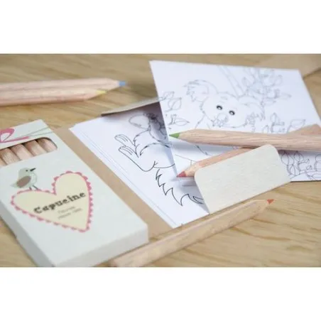 Kit Écologique de Coloriage avec 6 Crayons - Objets Publicitaires 8,7 Matières : PET recyclé Taille textile : M Couleurs : bleu 