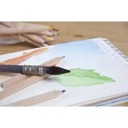 Étui Écologique 6 Crayons Aquarellables - Objets Publicitaires Matières : plastique recyclé Couleurs : vert foncé 2