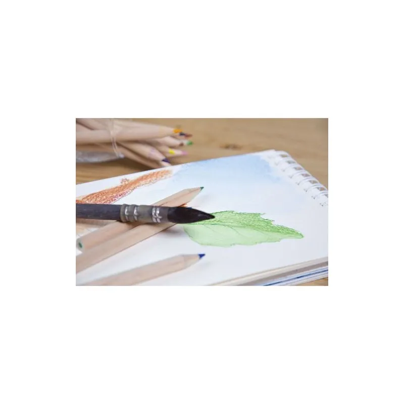 Étui Écologique 6 Crayons Aquarellables - Objets Publicitaires Matières : plastique recyclé Couleurs : vert foncé personnalisabl