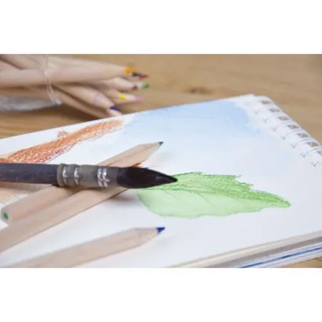 Étui Écologique 6 Crayons Aquarellables - Objets Publicitaires Matières : plastique recyclé Couleurs : vert foncé personnalisabl