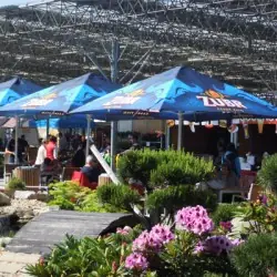 Parasol carré 3,5x3,5m publicitaire 2