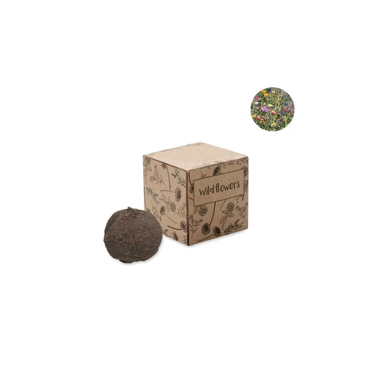Boule Écologique de Graines de Fleurs Sauvages - BOMBI Matières : carton Couleurs : vert