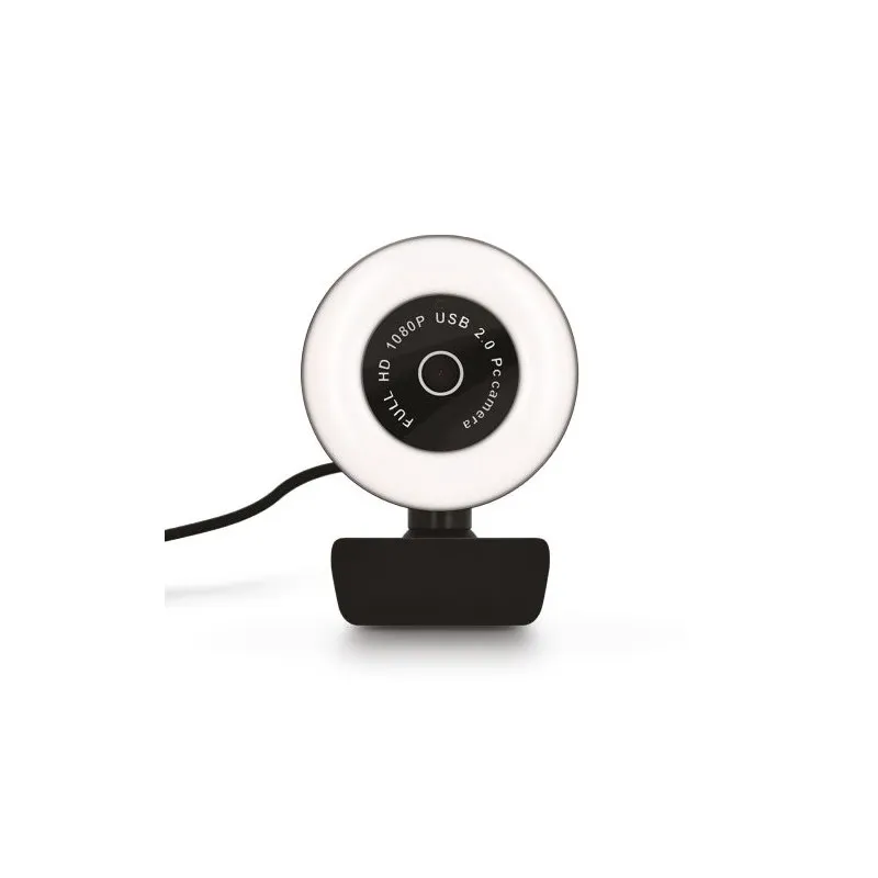 Webcam HD 1080P avec Micro Intégré - Idéale pour vos Visios