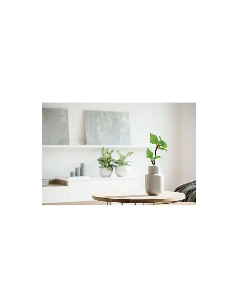 Carnet A5 Écologique Personnalisé - GROWBOOK™ SAVAGE Matières : coton Taille textile : XXL Couleurs : vert bouteille cadeau coll