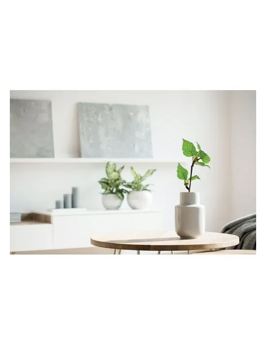 Carnet A5 Écologique Personnalisé - GROWBOOK™ SAVAGE Matières : coton Taille textile : XXL Couleurs : vert bouteille cadeau coll