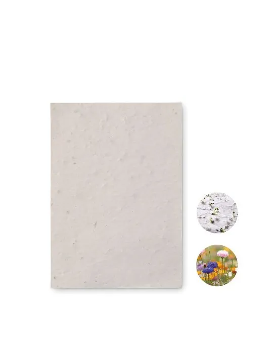 Papier A6 Graines de Fleurs ASIDO - Écologique & Unique