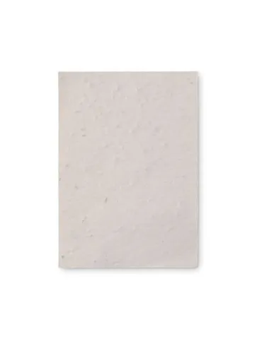 Papier A6 Graines de Fleurs ASIDO - Écologique & Unique 2