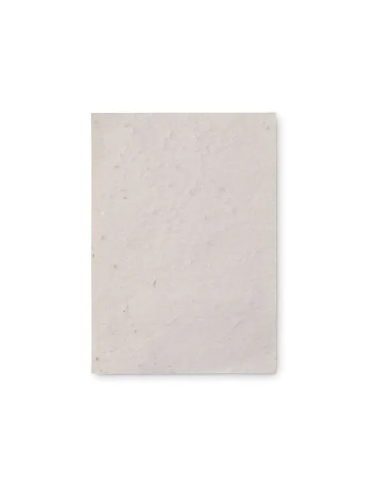 Papier A6 Graines de Fleurs ASIDO - Écologique & Unique