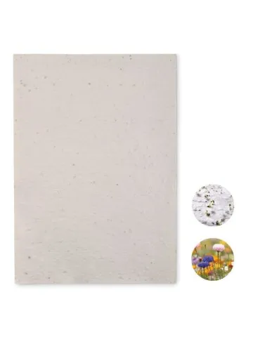 Papier A4 Graines de Fleurs ASIDI - Écologique et Pratique