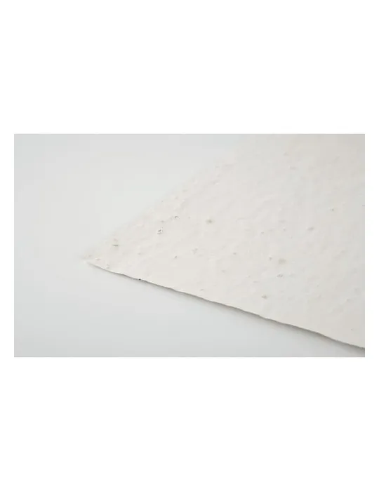 Papier A4 Graines de Fleurs ASIDI - Écologique et Pratique