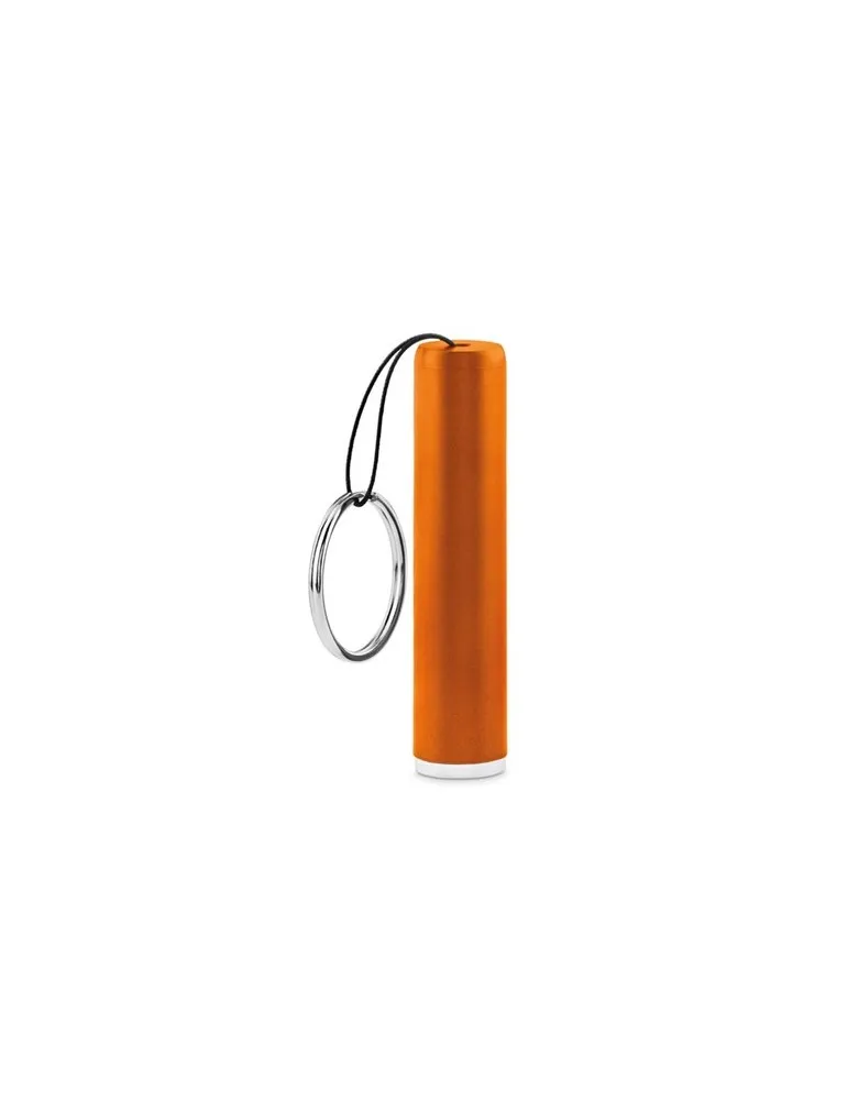 Lampe Torche en Plastique SANLIGHT - Pratique et Personnalisable