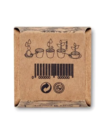 Kit de tournesol SUNFLOWER KIT 2