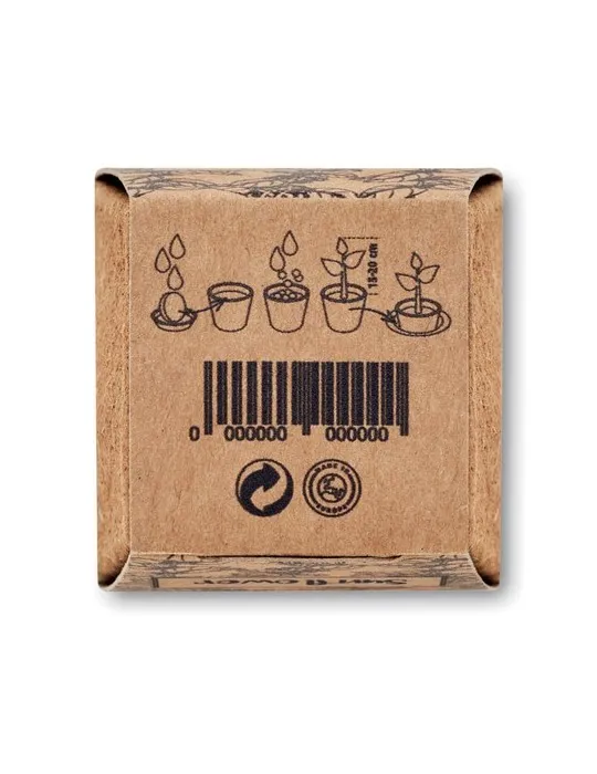 Kit de tournesol SUNFLOWER KIT