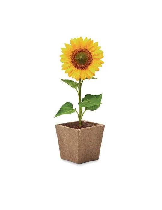 Kit de tournesol SUNFLOWER KIT