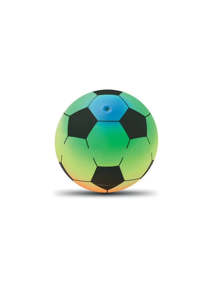 Ballon de plage gonflable PVC RAINBALL