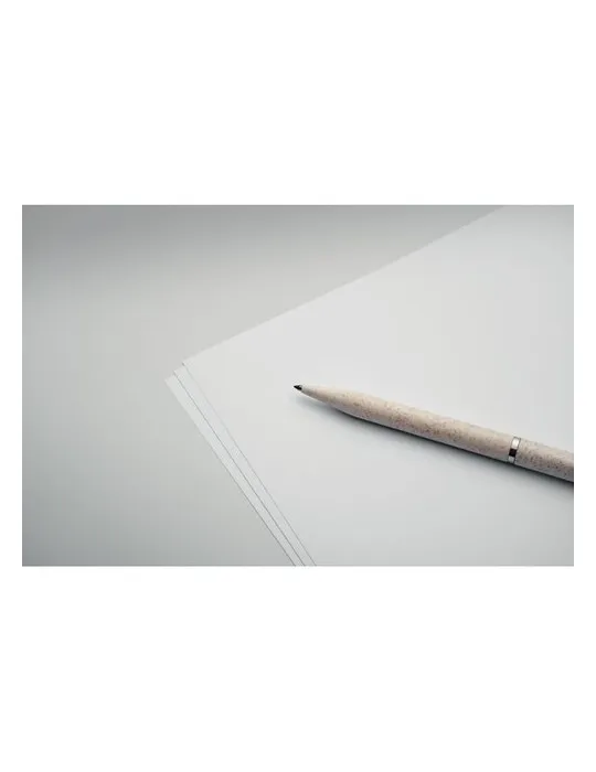 Set de stylo paille de blé/ABS PEAT